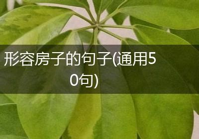 房子 形容詞|形容房子的词语，多多益善。